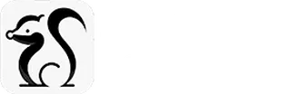 Skunkworks Consulting